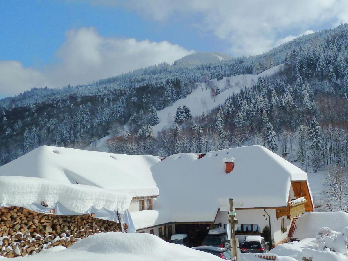 Apartment In Brandenberg With Terrace Todtnau Rom bilde