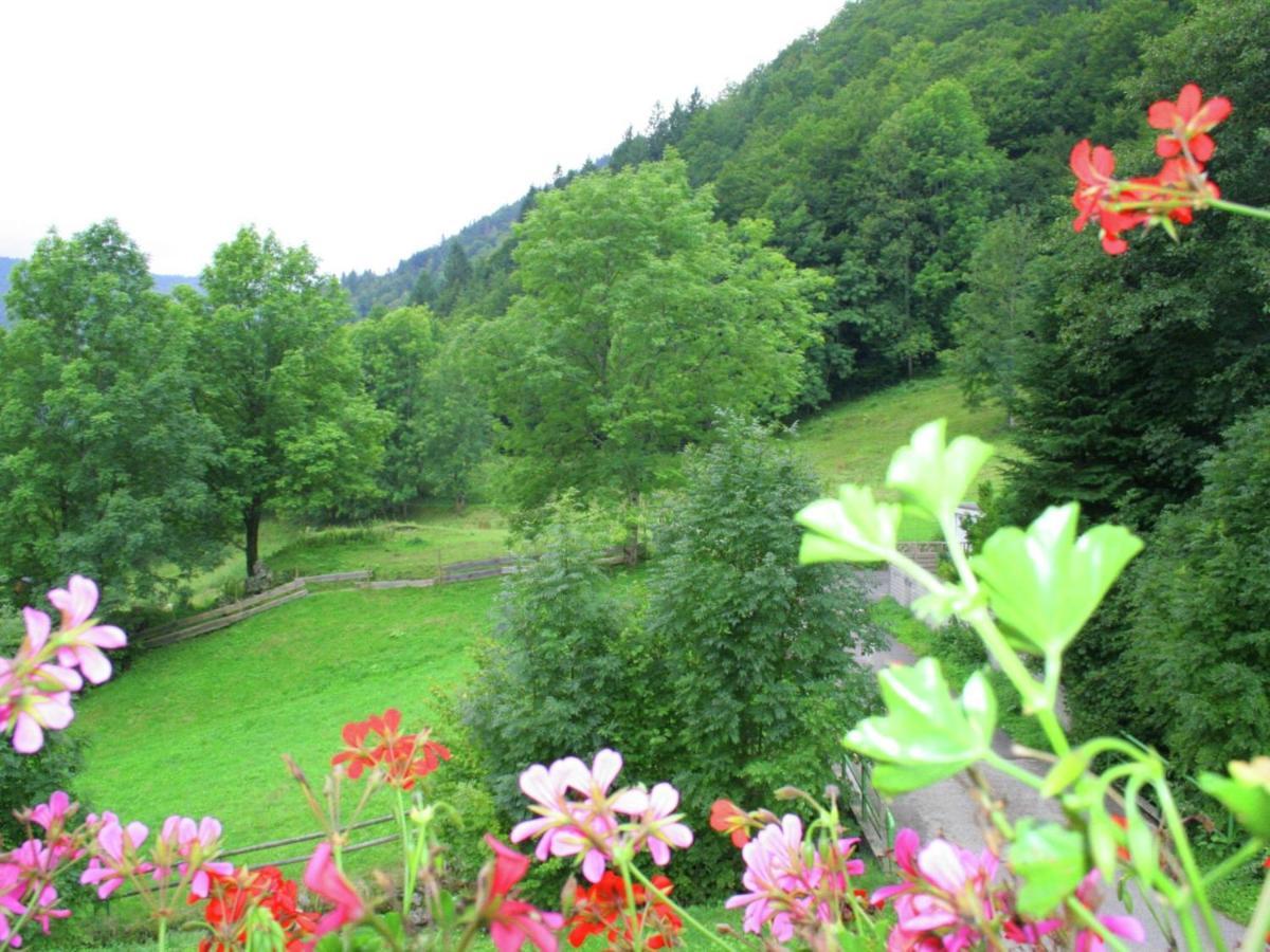 Apartment In Brandenberg With Terrace Todtnau Rom bilde