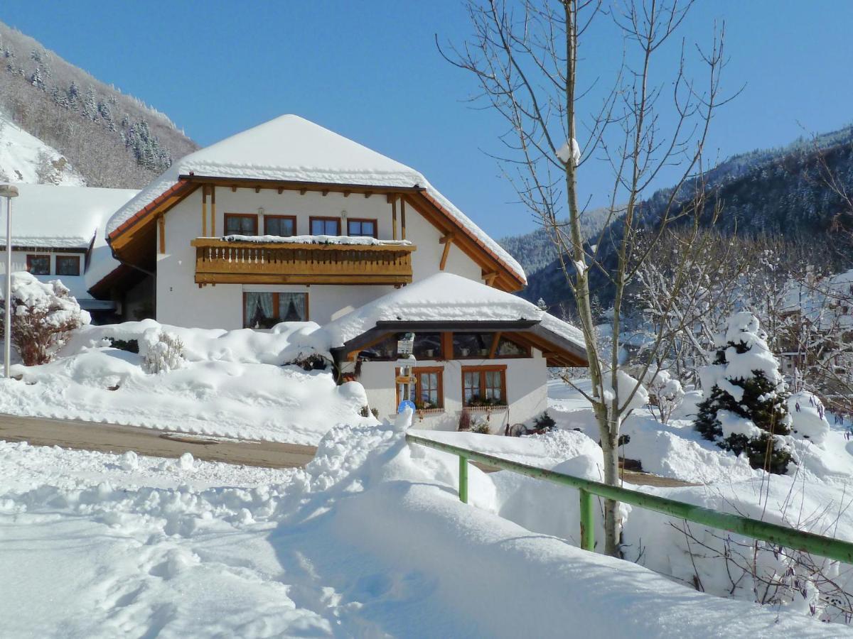 Apartment In Brandenberg With Terrace Todtnau Rom bilde